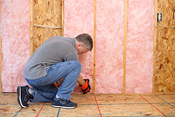 Best Insulation Replacement Services  in Glenwood, AR